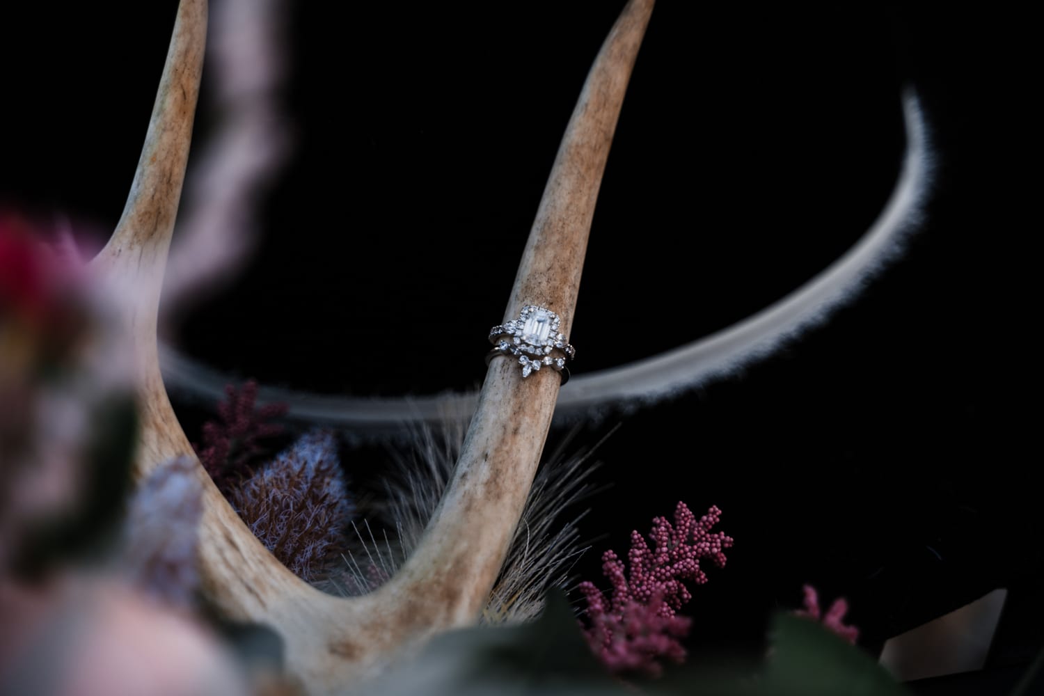 Marissa Forbis - Forbis Photography