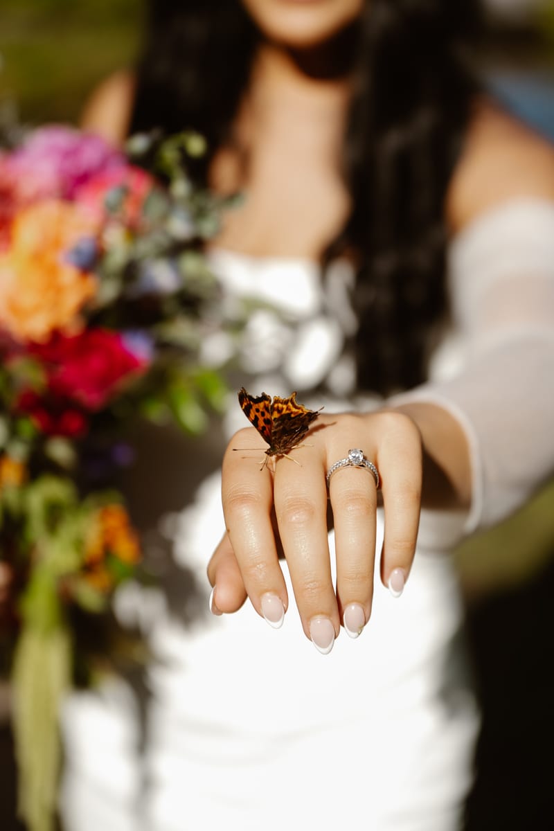 Janelle Schank - Janelle Renee Photography