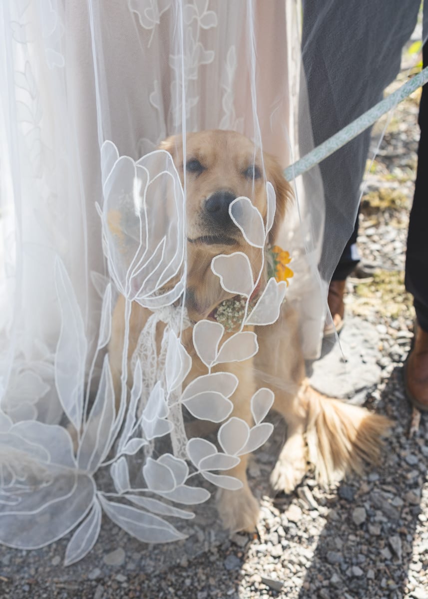 Amanda Kluesner Photography