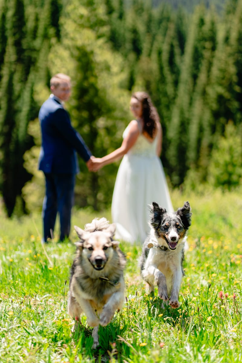 Allyson Schulte - Your Mountain Moments Photography