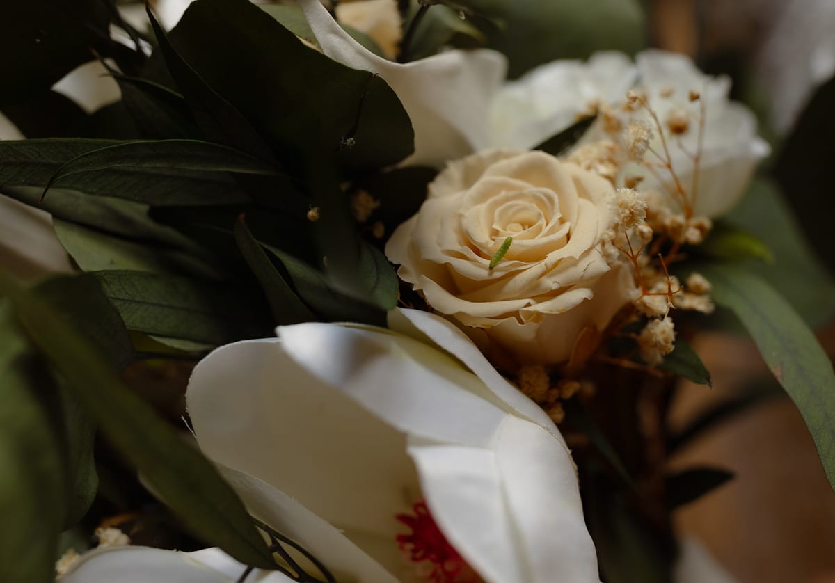 Shanmari Shehaj - Avonture Elopements