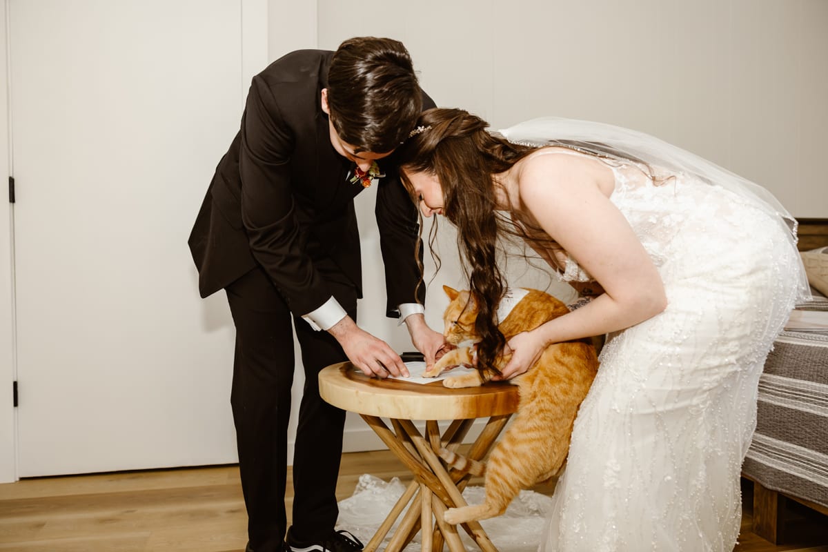 Juliana Wall Photography