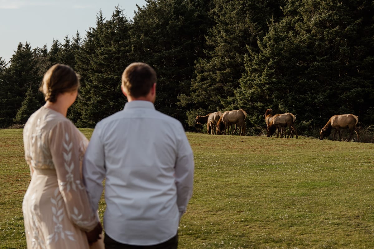 Mattie Nelson - Before Our Eyes Photography