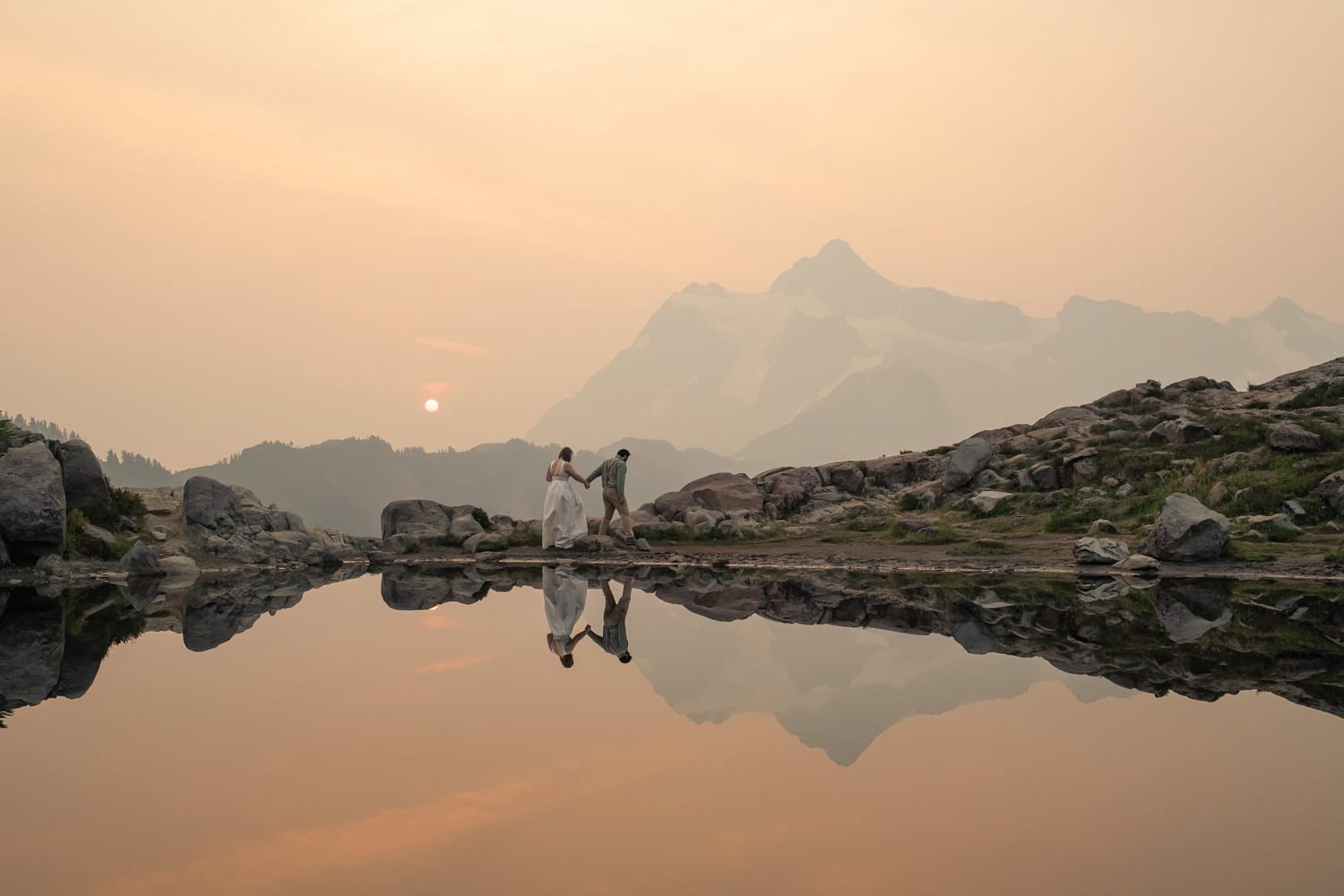 Allison Haley Photography