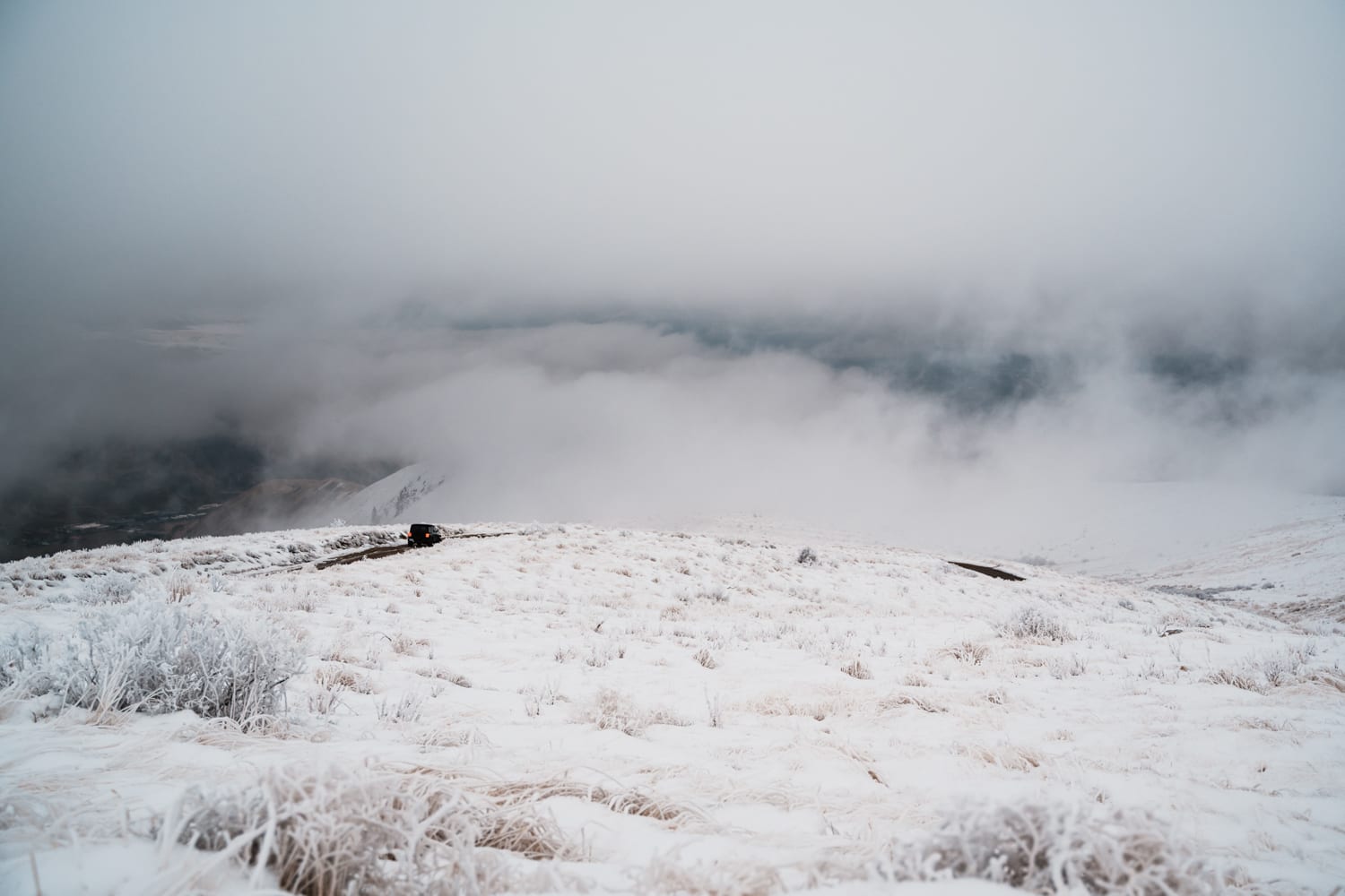 Marissa Forbis - Forbis Photography