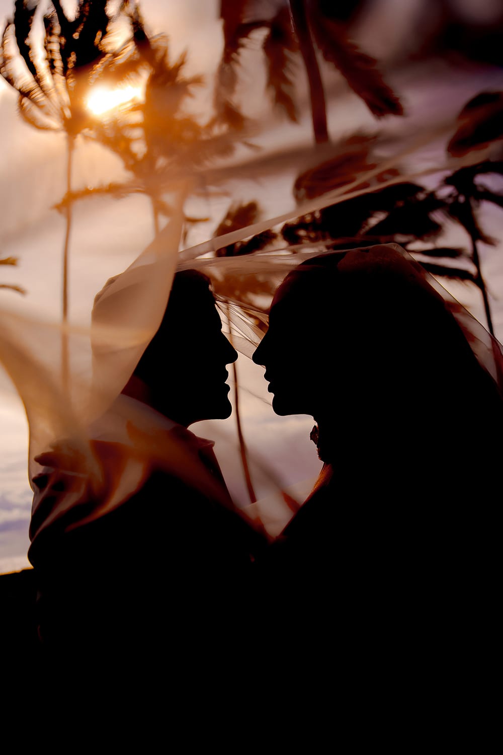 Caro Hepp Photography