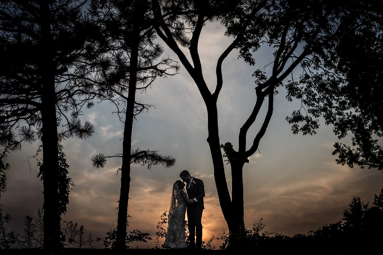 Andy hardman photography