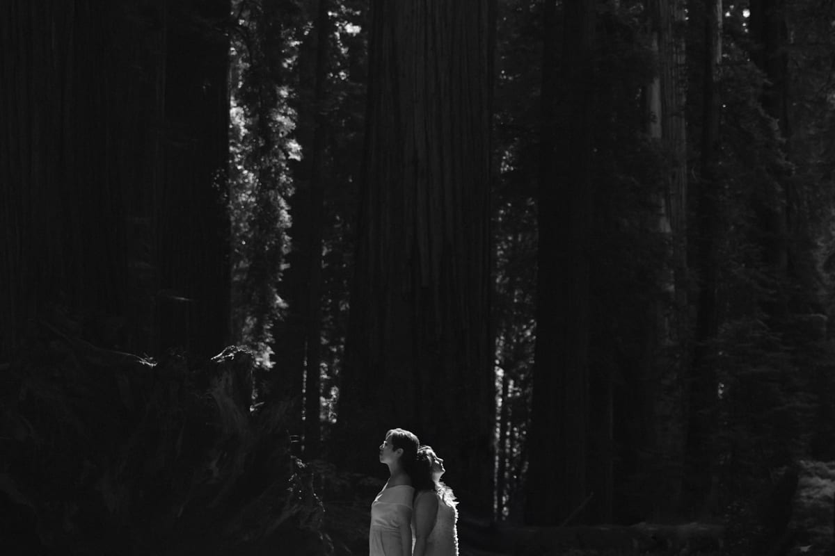 Cass Oldenburg - Narrow Leaf Photography
