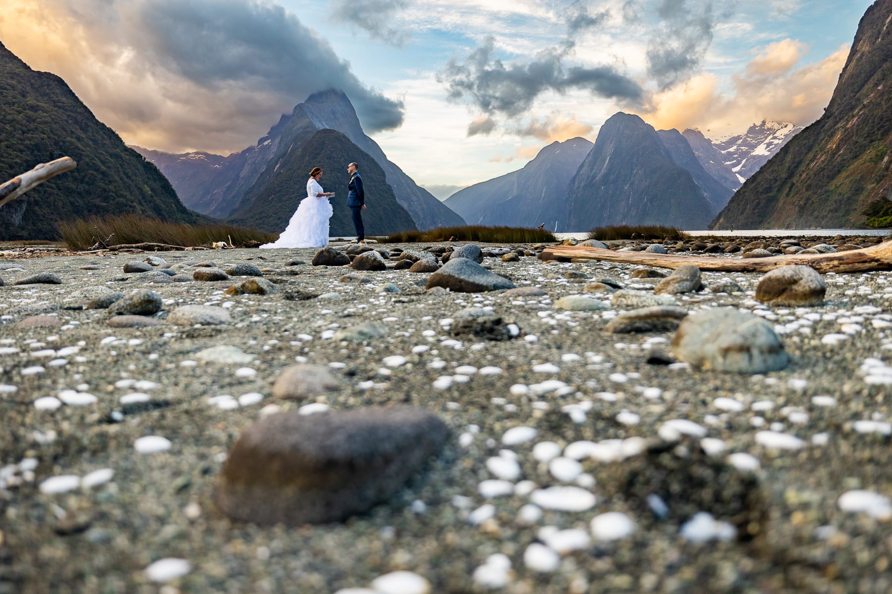 Lucy Schultz portfolio image