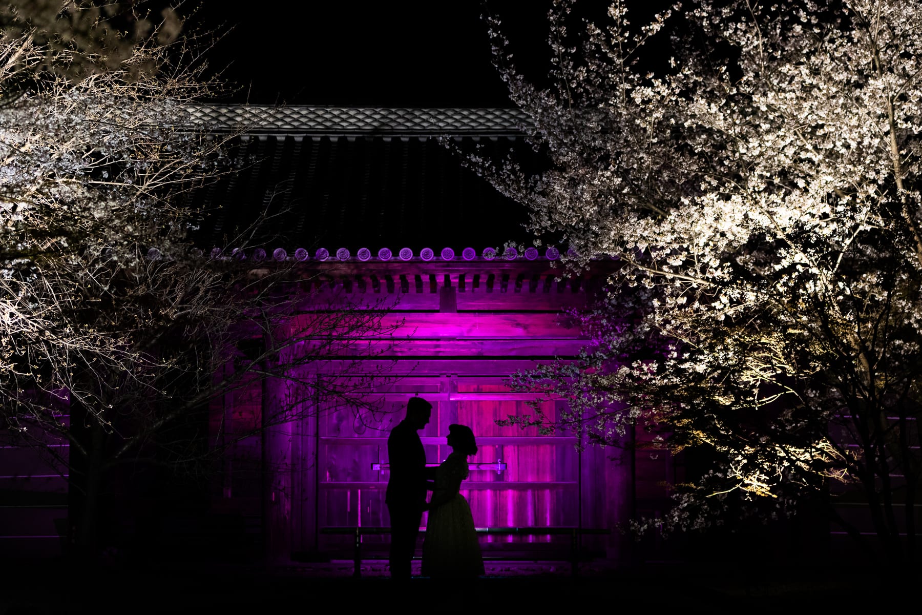 Lucy Schultz portfolio image