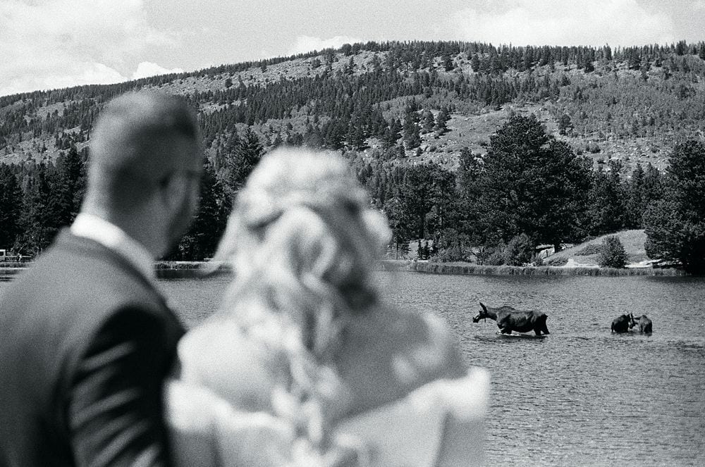 Larissa Welch portfolio image