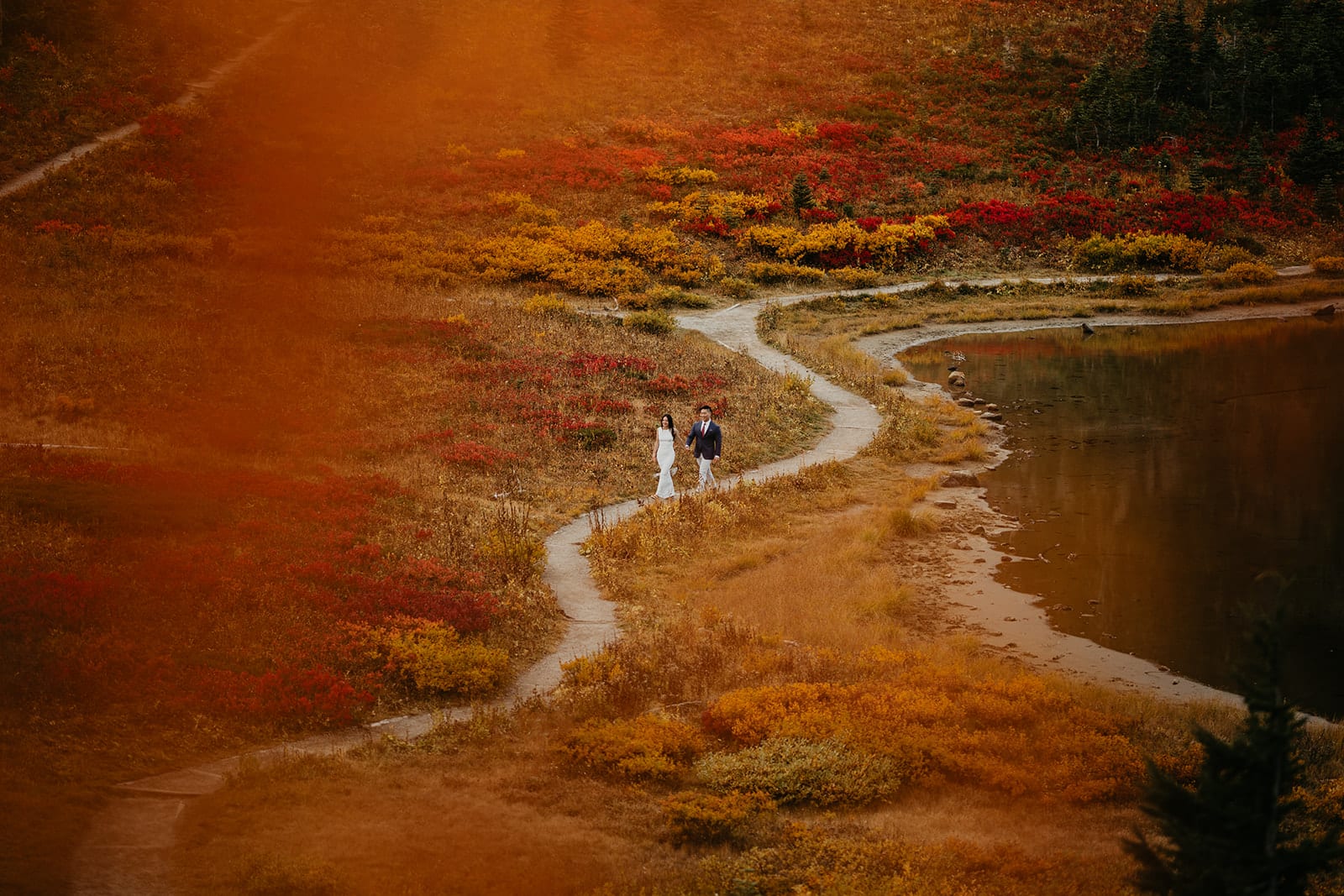Van Gachnang portfolio image