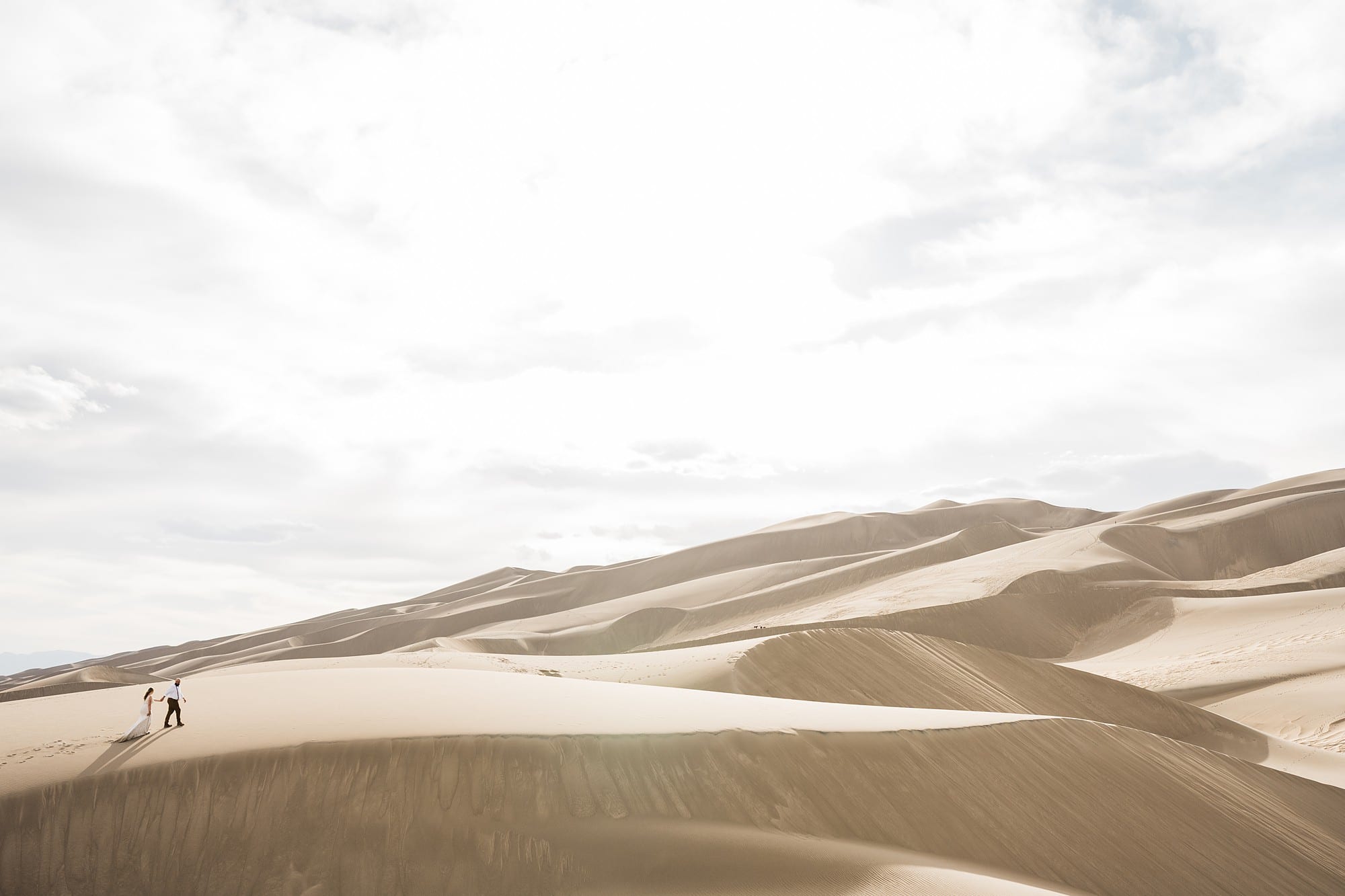 Bailey Boggs portfolio image