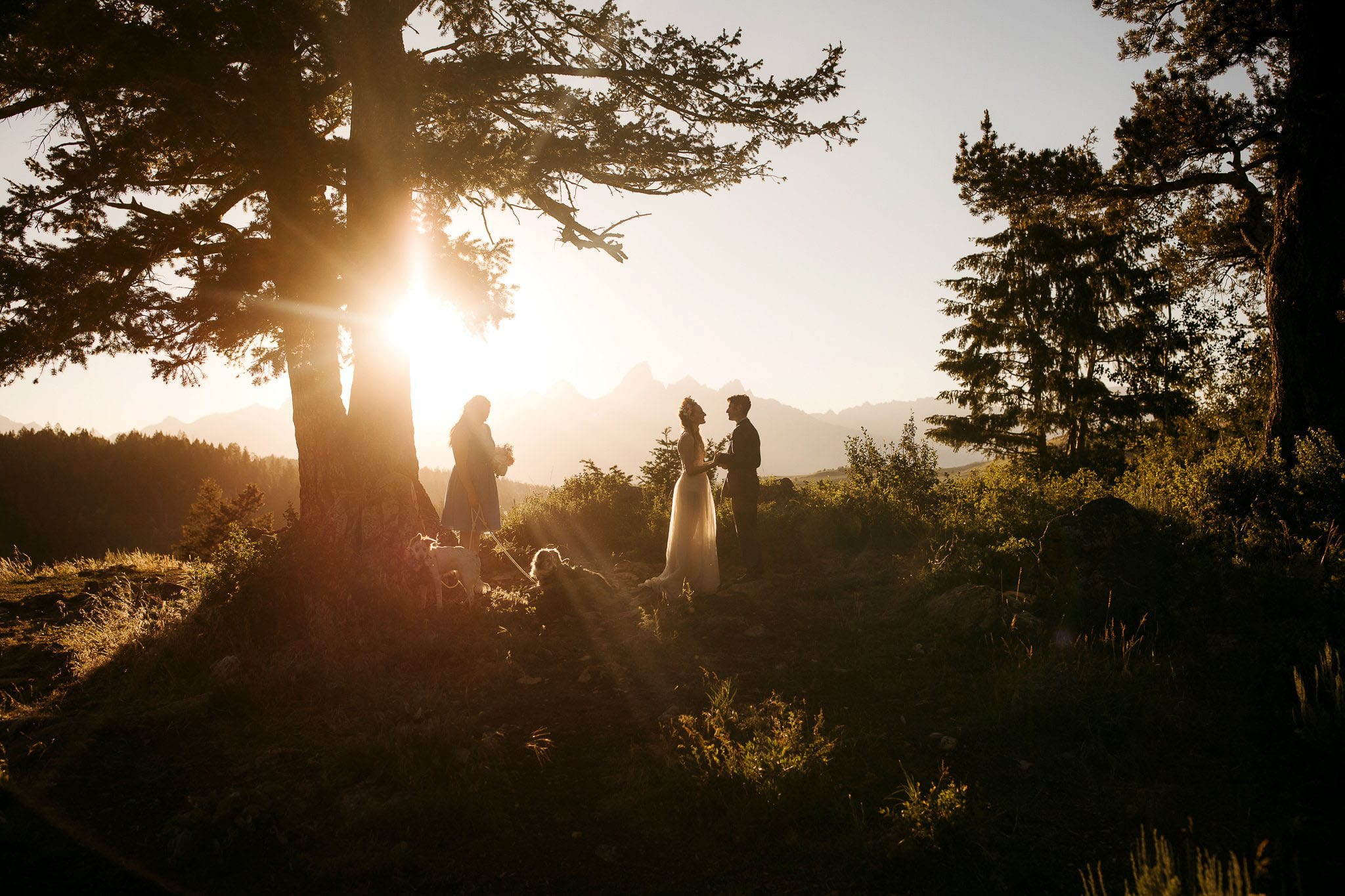 Eastlyn Bright portfolio image