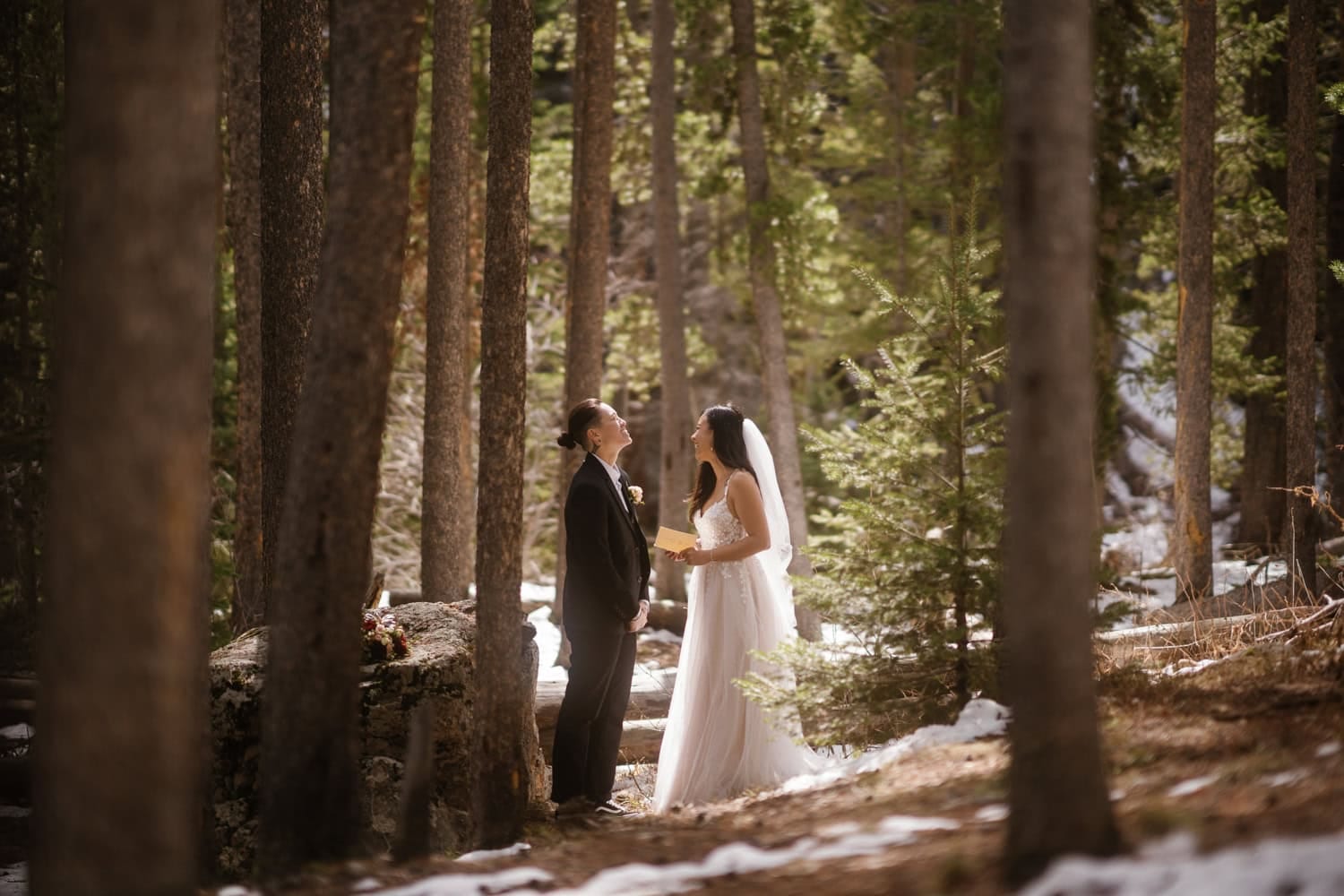 Amber Zensky portfolio image