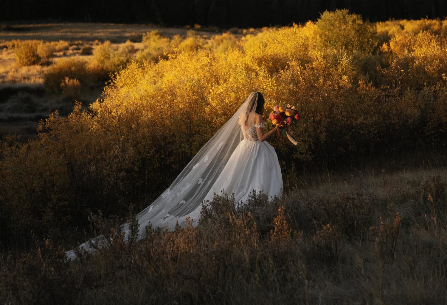 Amber Zensky portfolio image