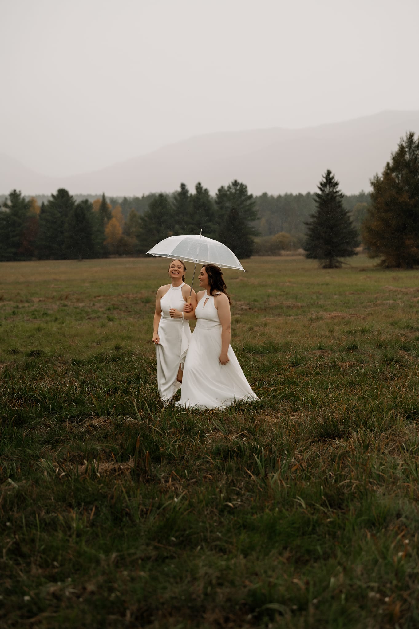 Emily Sanzo portfolio image