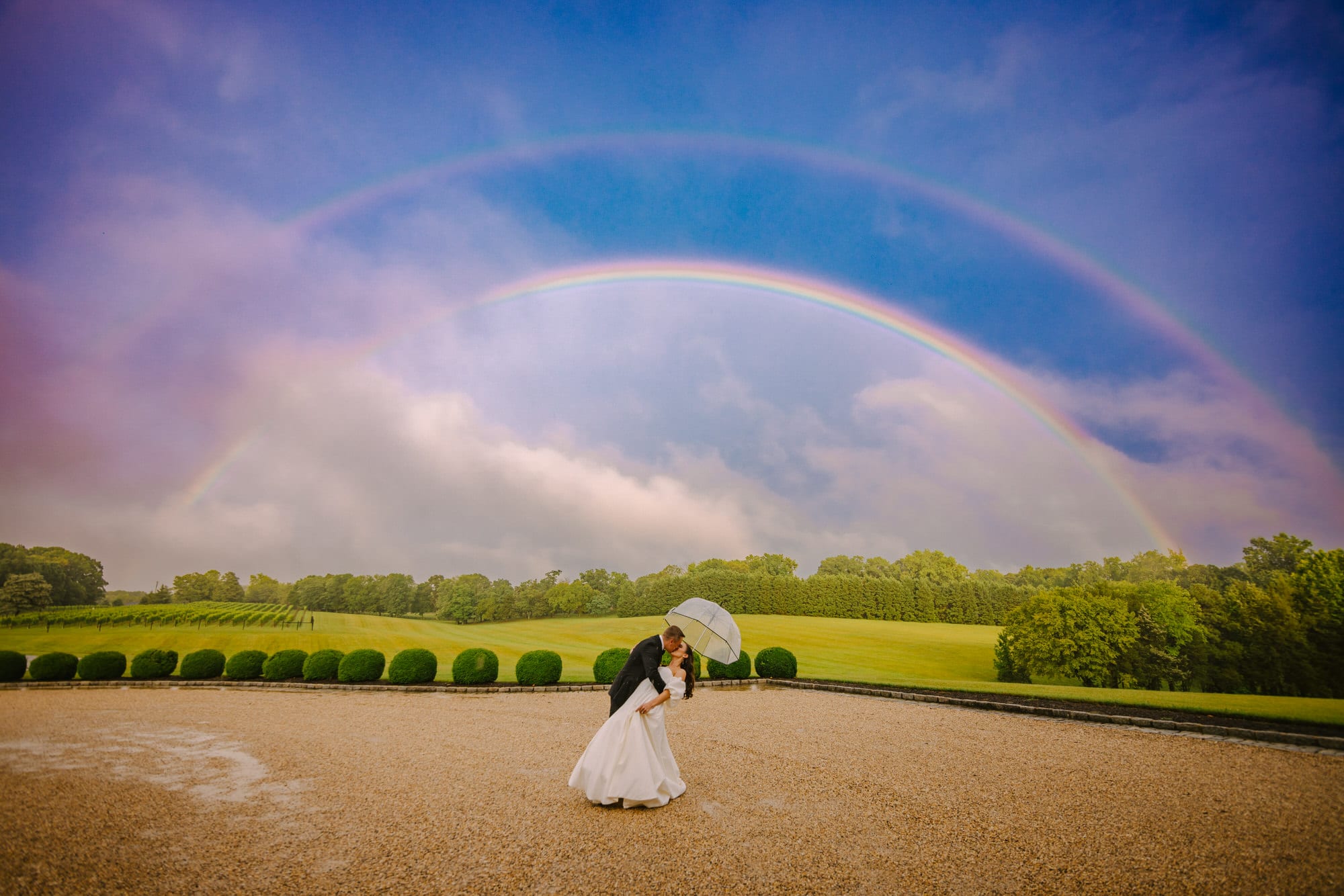 Andrea Lewis portfolio image