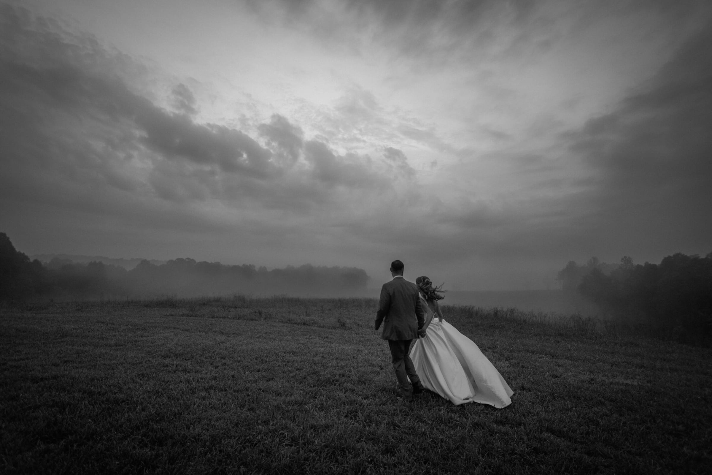 Andrea Lewis portfolio image