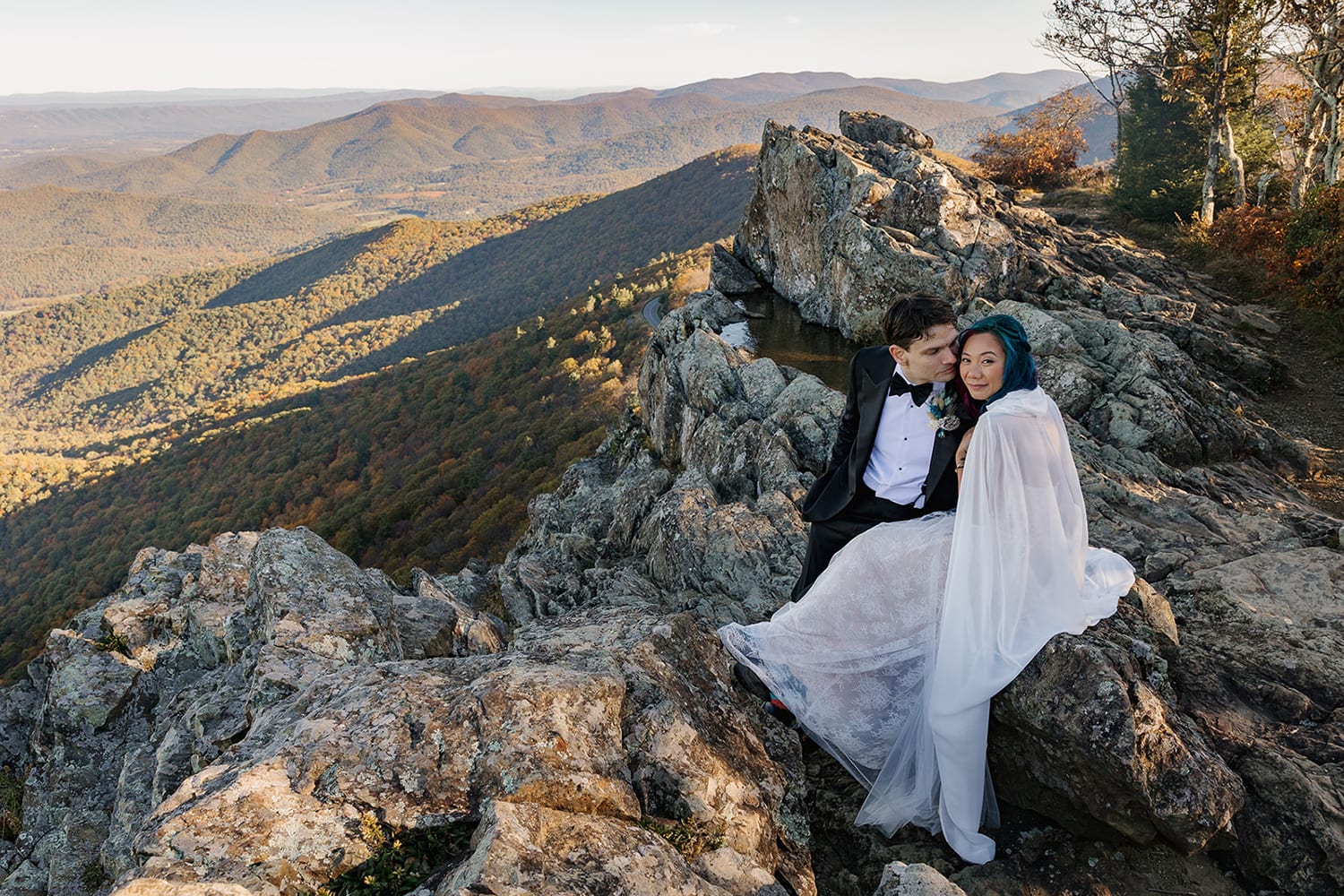 Aimee Harmon portfolio image