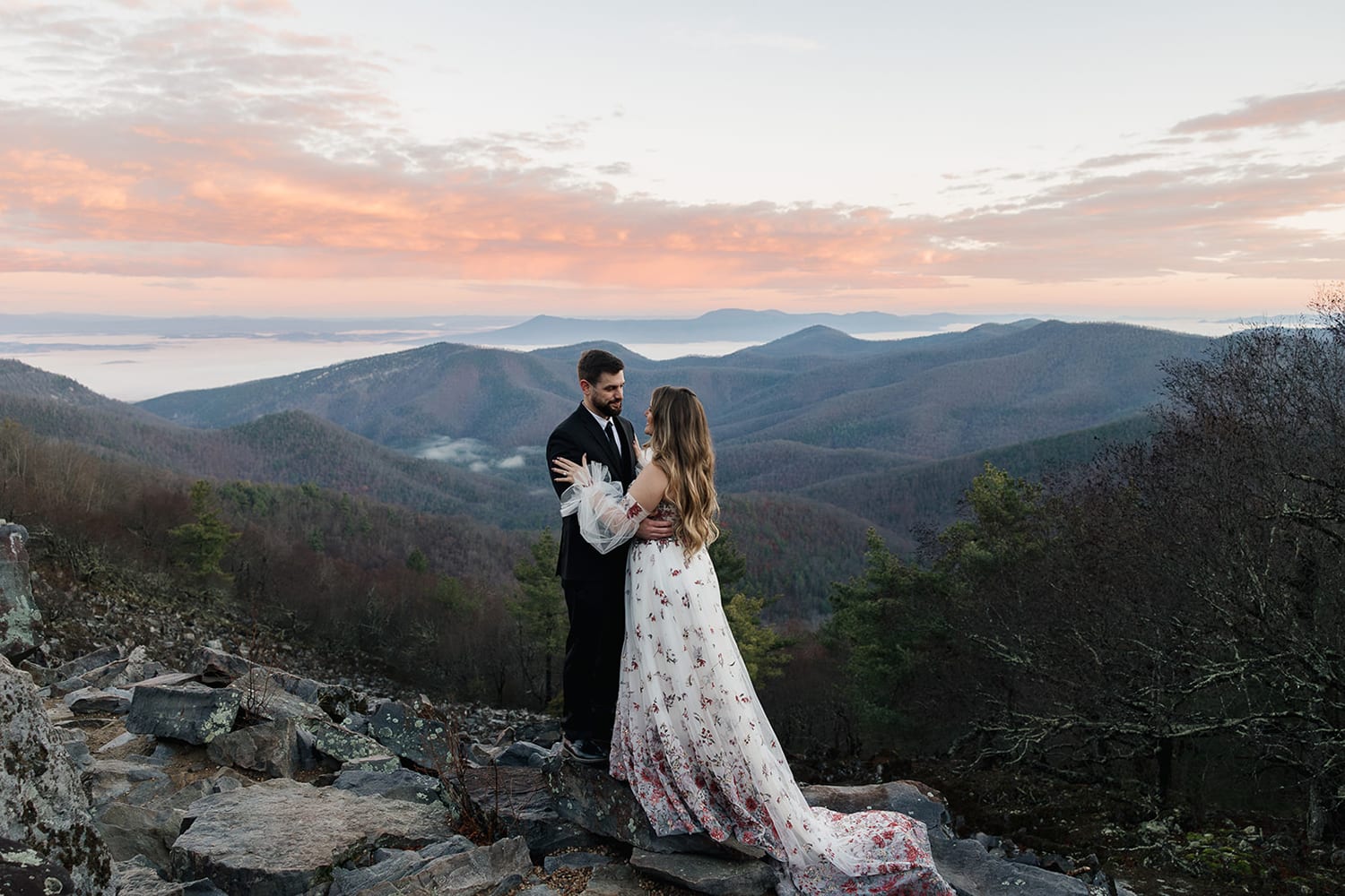 Aimee Harmon portfolio image