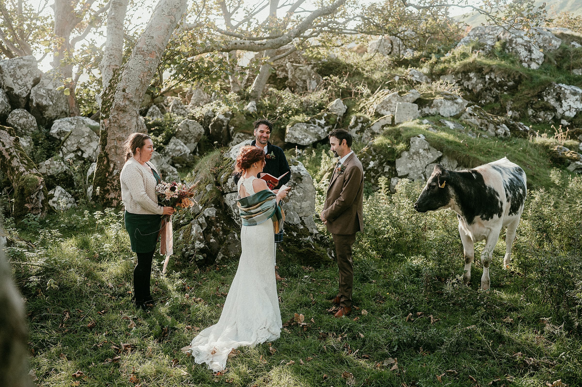 Rob Dight portfolio image